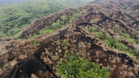 There’s another wildfire burning in Hawaii. This one is destroying irreplaceable rainforest on Oahu